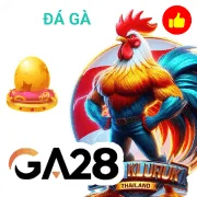 pp881 Game 05